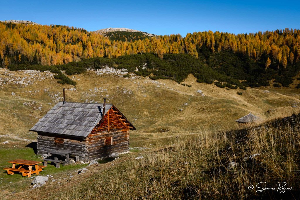 DSC_7313 L'autunno ai Campilussi