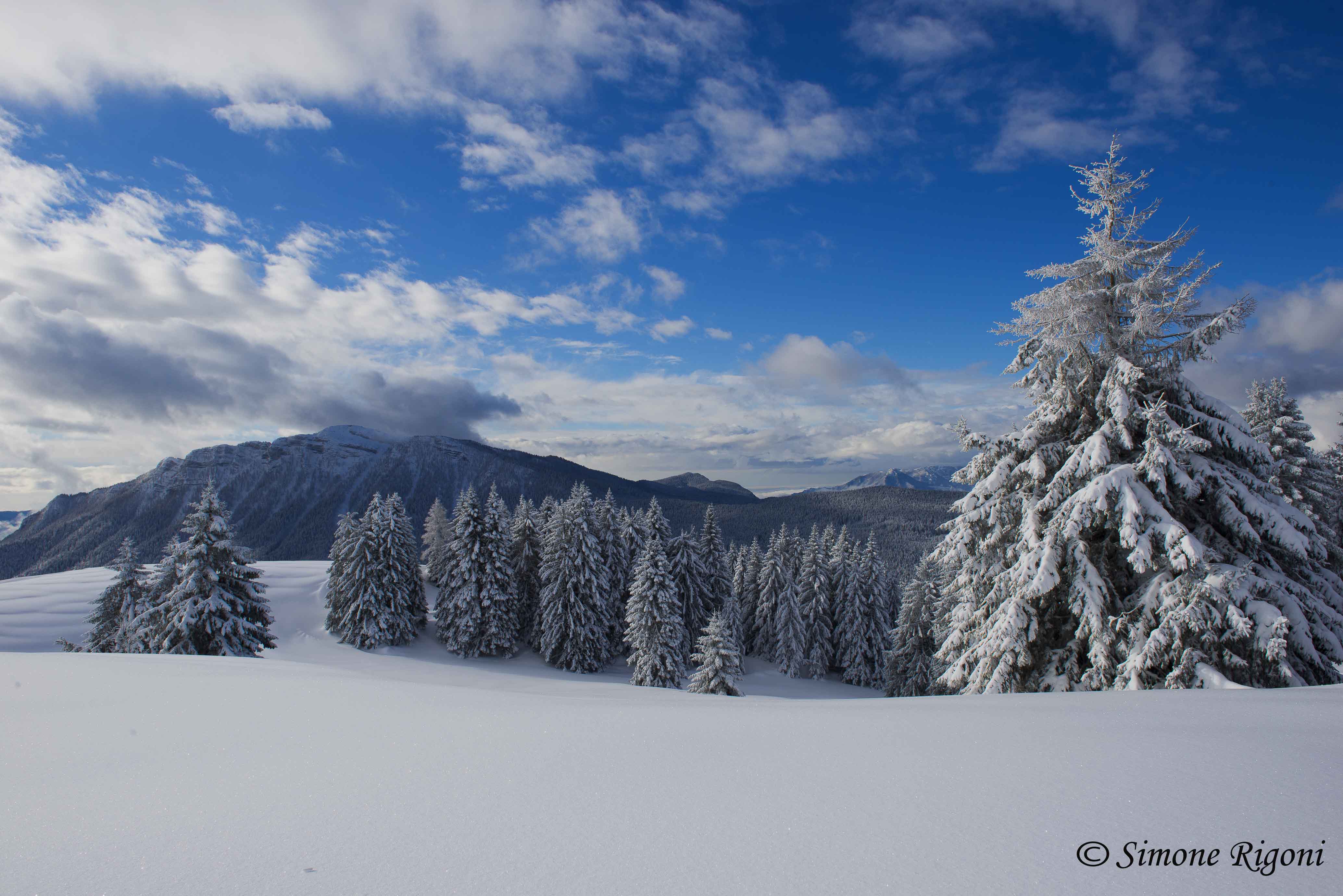 DSC_2957 Monte Verena