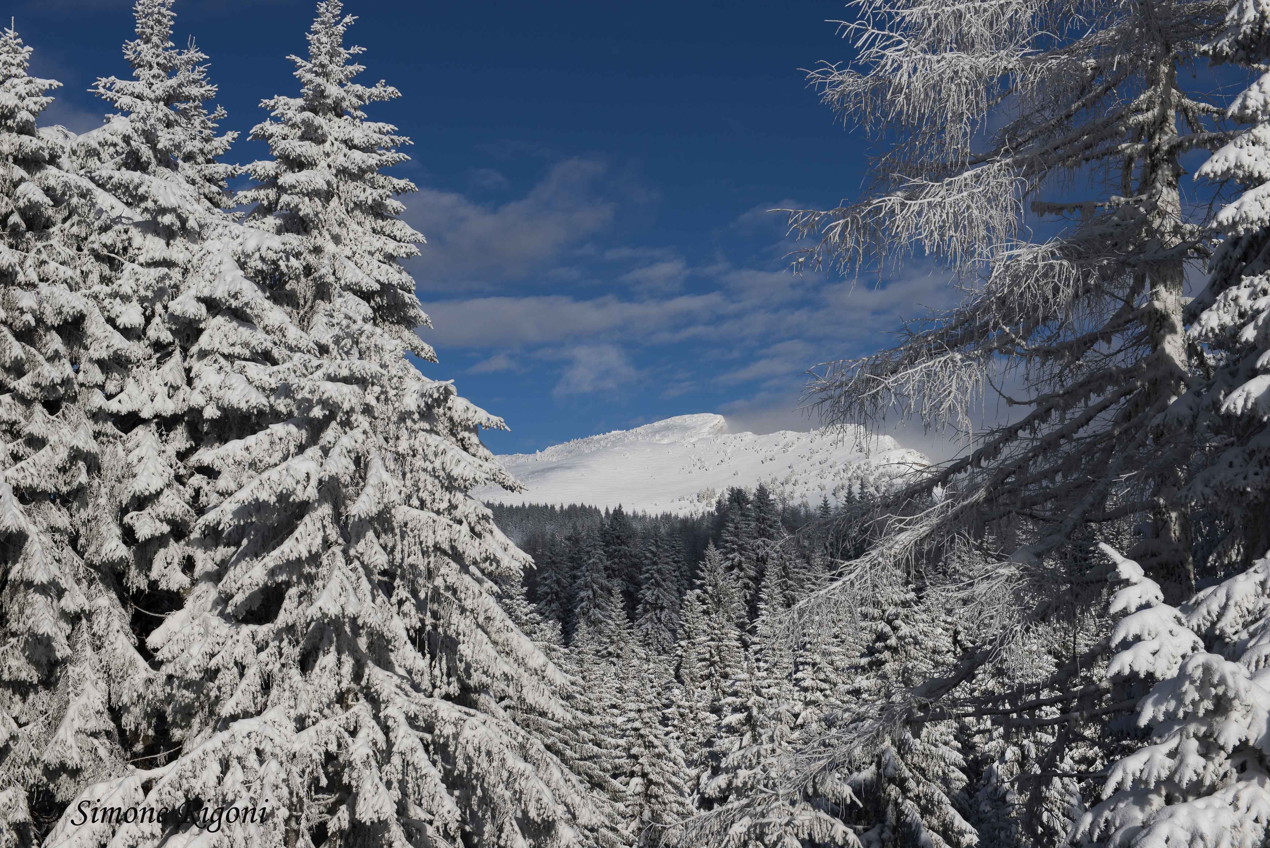 DSC_2962 Sullo sfondo Cima Manderiolo