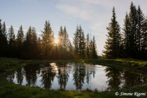 _DSC9845 Pozza d'alpeggio