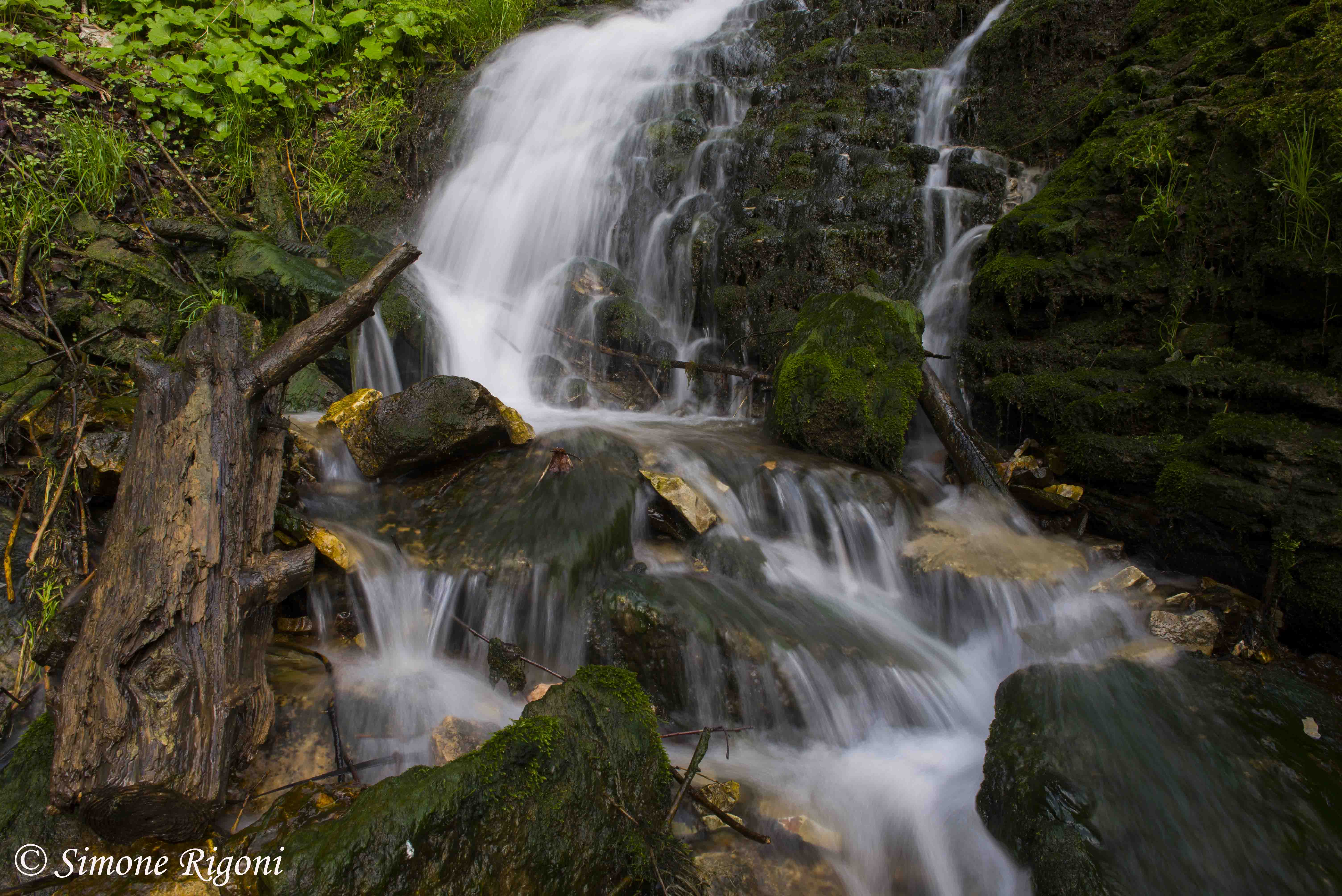 DSC_7711 Ruscello d'acqua