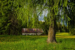 SIM_6007 Colori primaverili