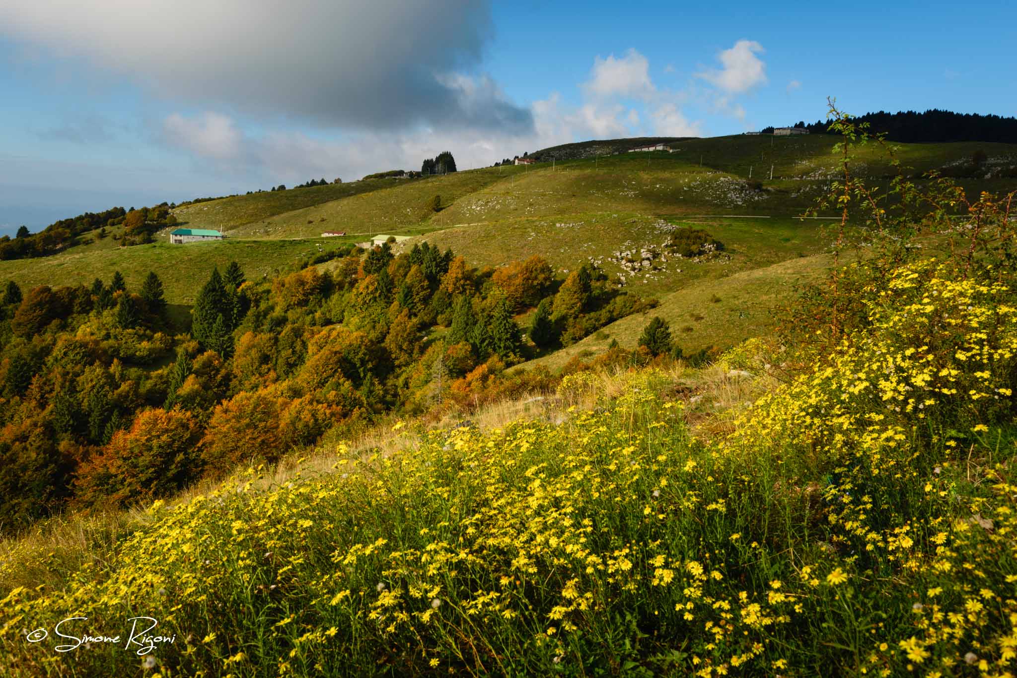 SIM_1375 Tonalità autunnali